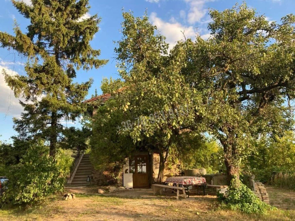 Eladó Családi ház, Tapolca,  Nincs megadva, 80nm, 120000000 Ft