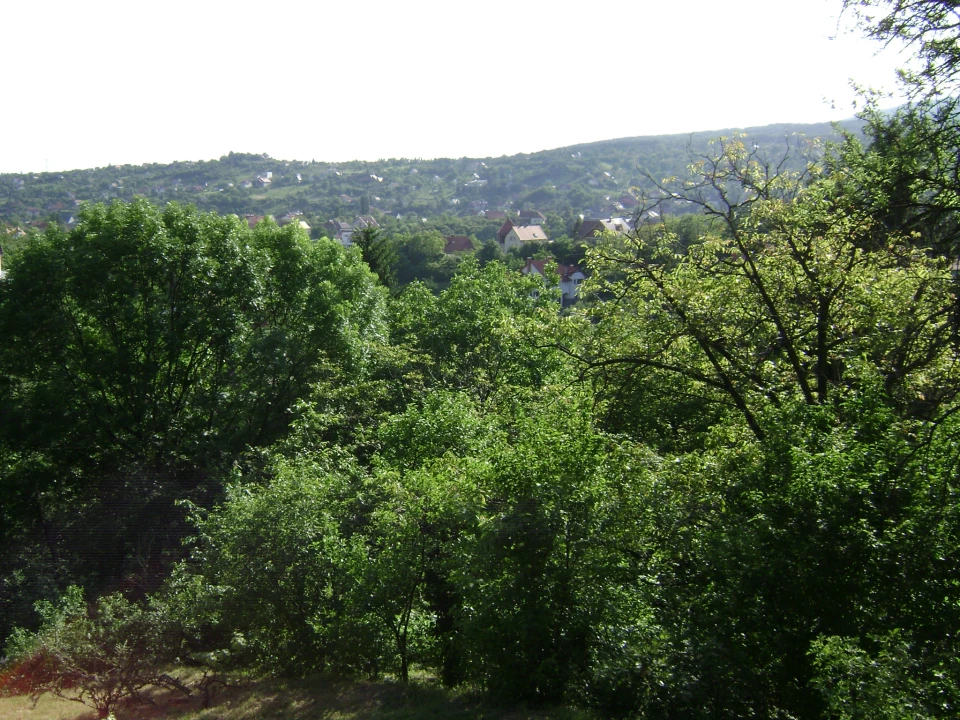 For sale building plot, Pécs, Mecsekoldal-Ürög, Vörösbegy u