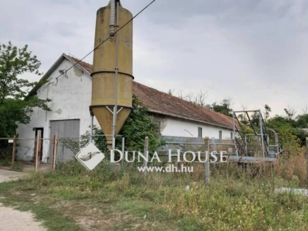 Kiadó , Jászkisér, Nincs utca