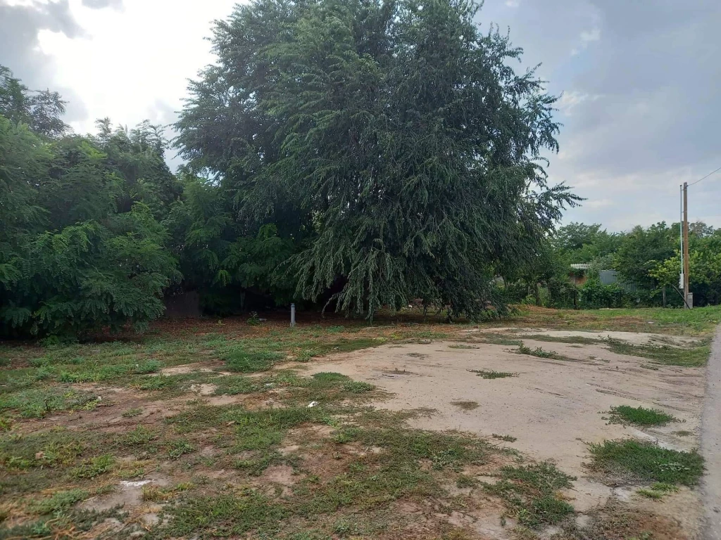 Eladó telek, Jászberény