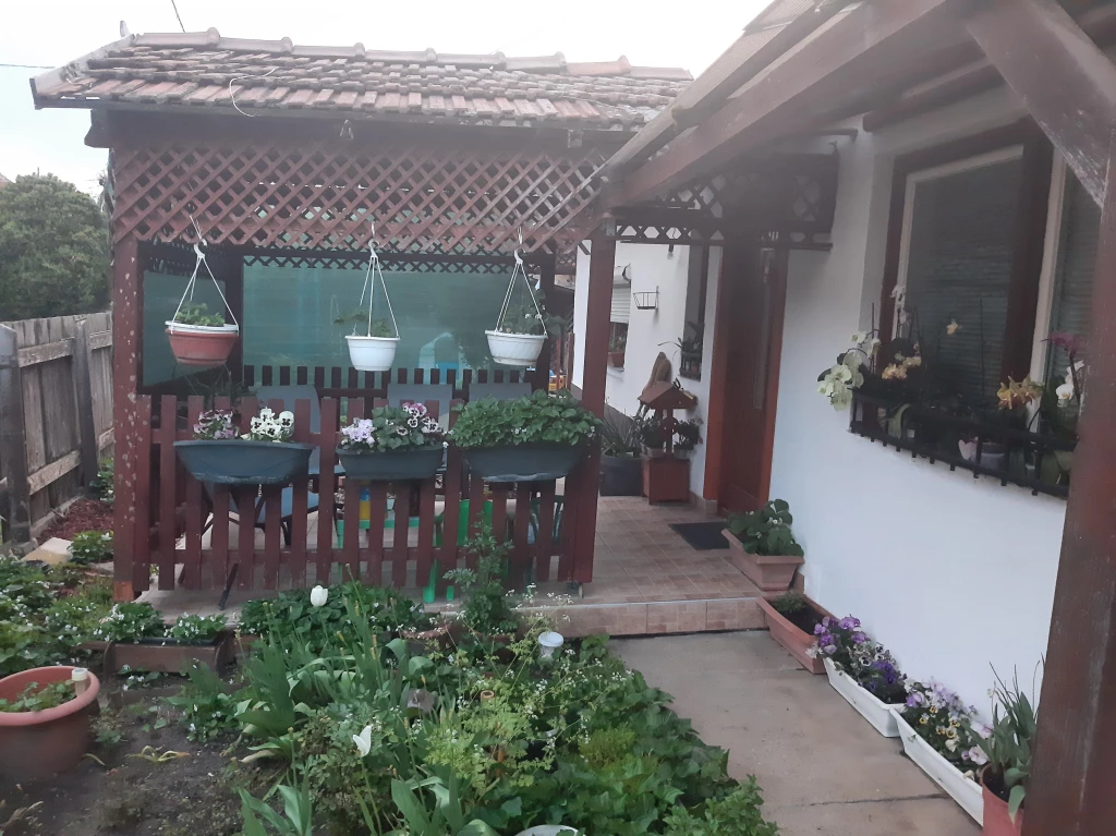 Eladó családi ház, Jászjákóhalma