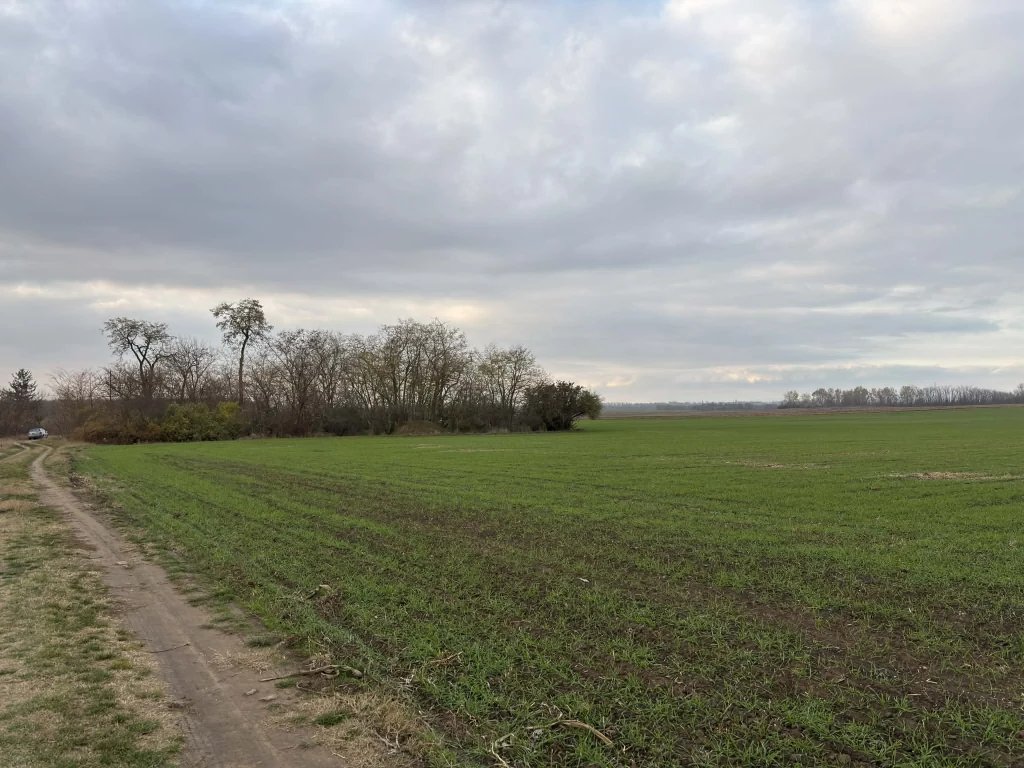 Eladó , Jászberény