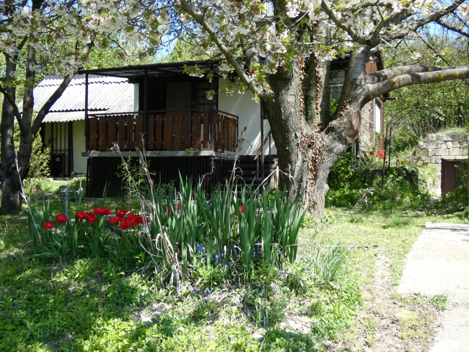 c3-1-name c2-63-name, Sóskút