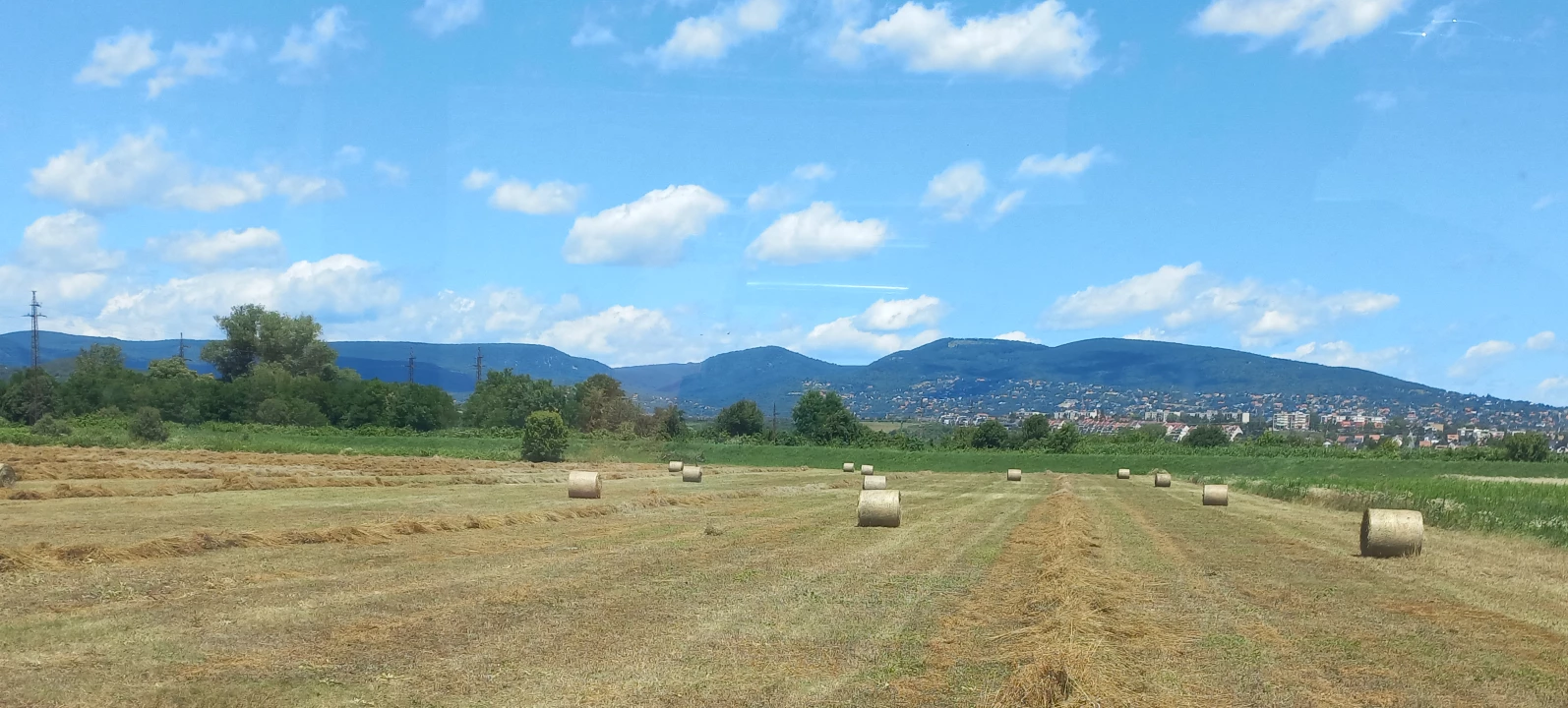 For sale plough-land, pasture, Pomáz