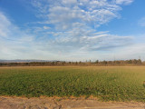 For sale development area, Veszprém