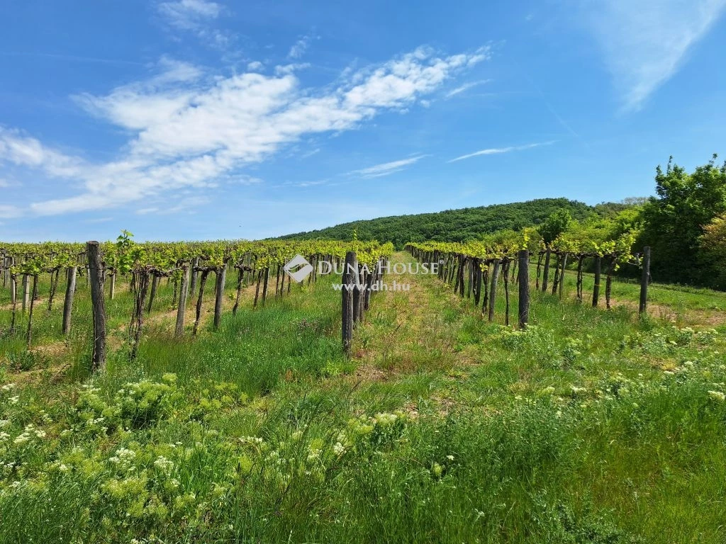 For sale periphery plot, Szentjakabfa