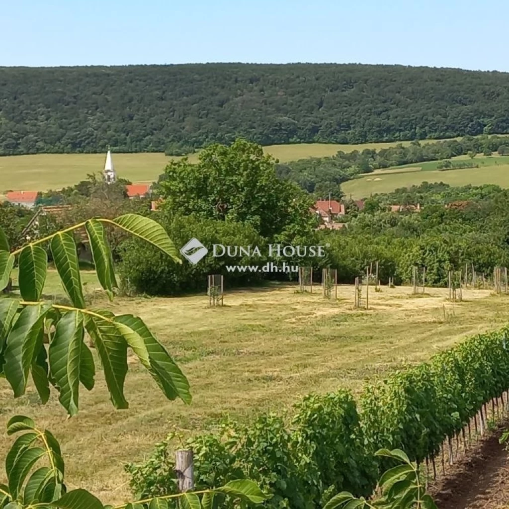 Eladó telek, Szentantalfa