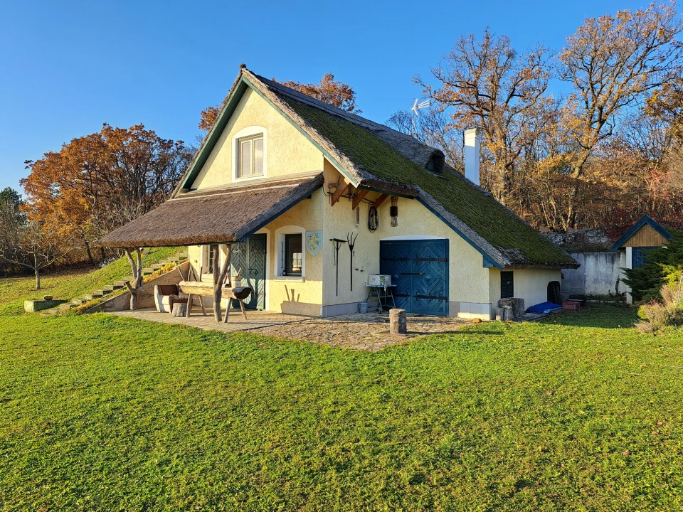 Eladó kertes ház, Örvényes