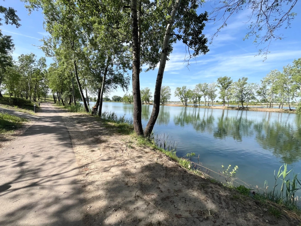 Dunaharaszti Tópark - Luxux lakóparkjában új építésű ikerházak eladók