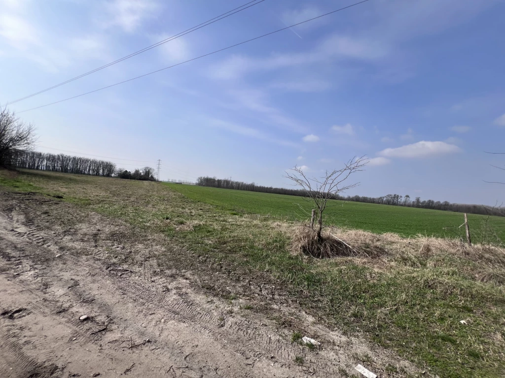 For sale plough-land, pasture, Délegyháza, Csóka tanya