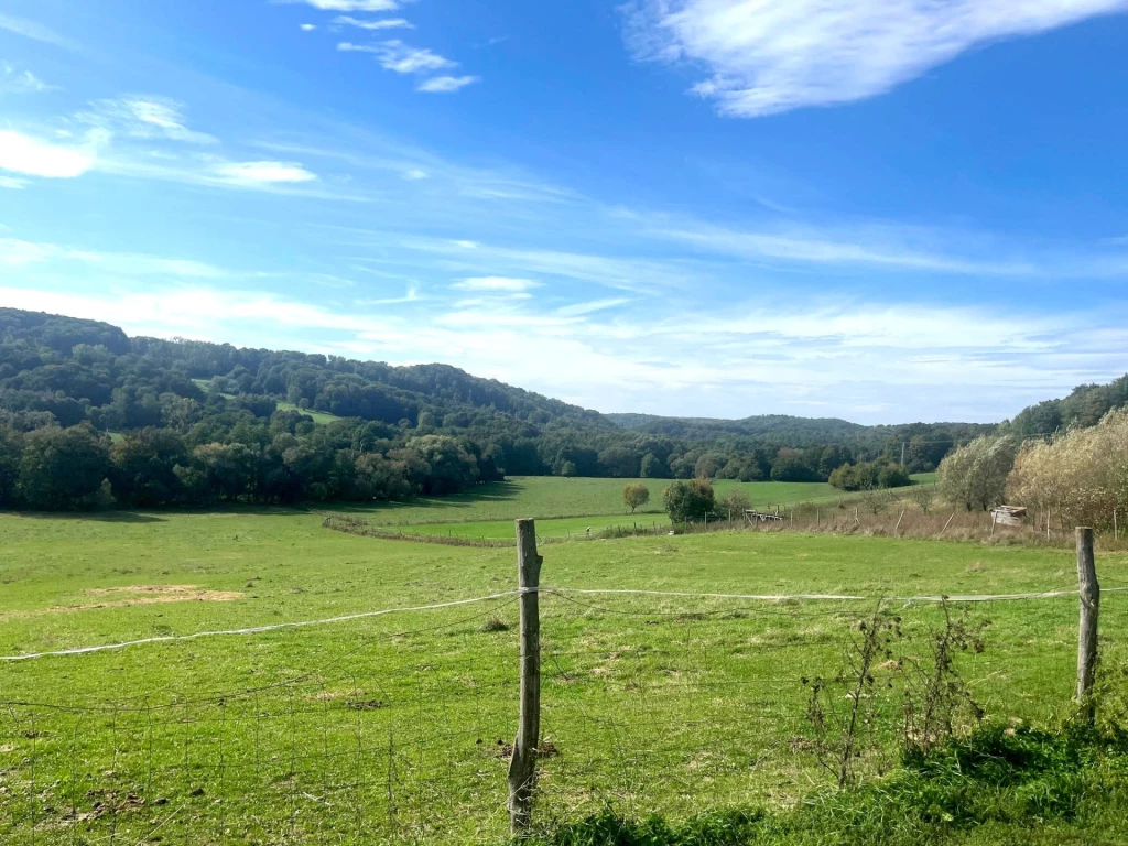 Pénzesgyőrben eladó felújítandó, panorámás családi ház