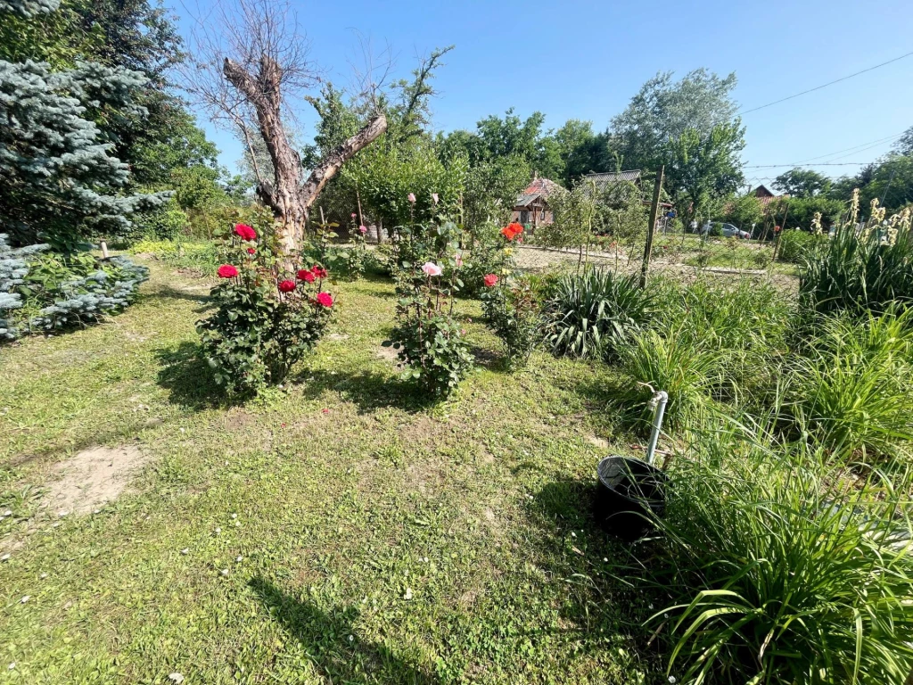 Dömsödön a Ráckevei-Soroksári Dunaág-hoz közel könnyűszerkezetes nyaraló eladó!