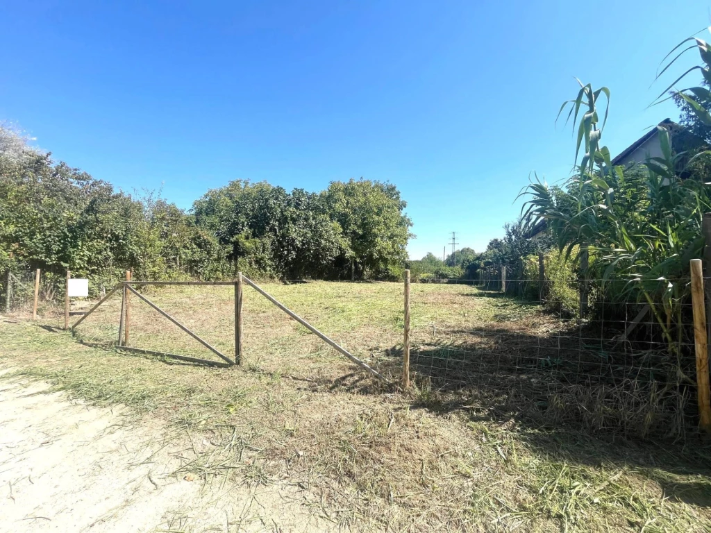 Dömsödön a Ráckevei-Soroksári-Dunaághoz közel építési telek eladó!