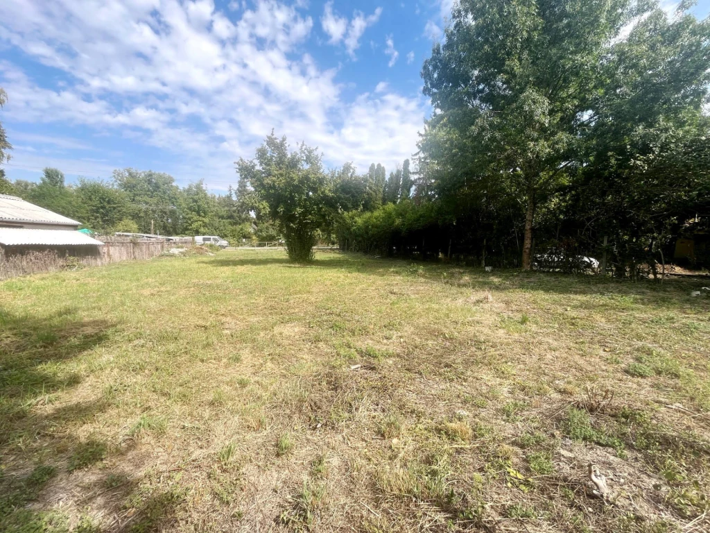 Dömsödön a Duna-ág szépségéhez közeli építési telek eladó!