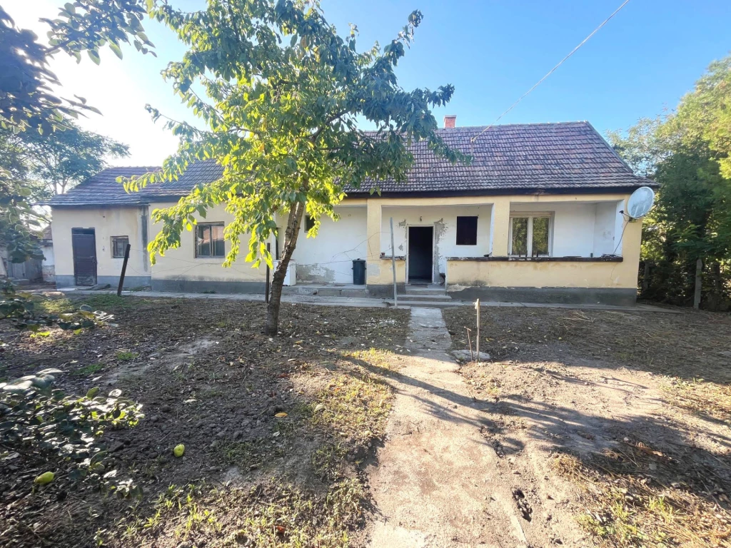 Dömsödön eladó parasztház nagy telekkel!