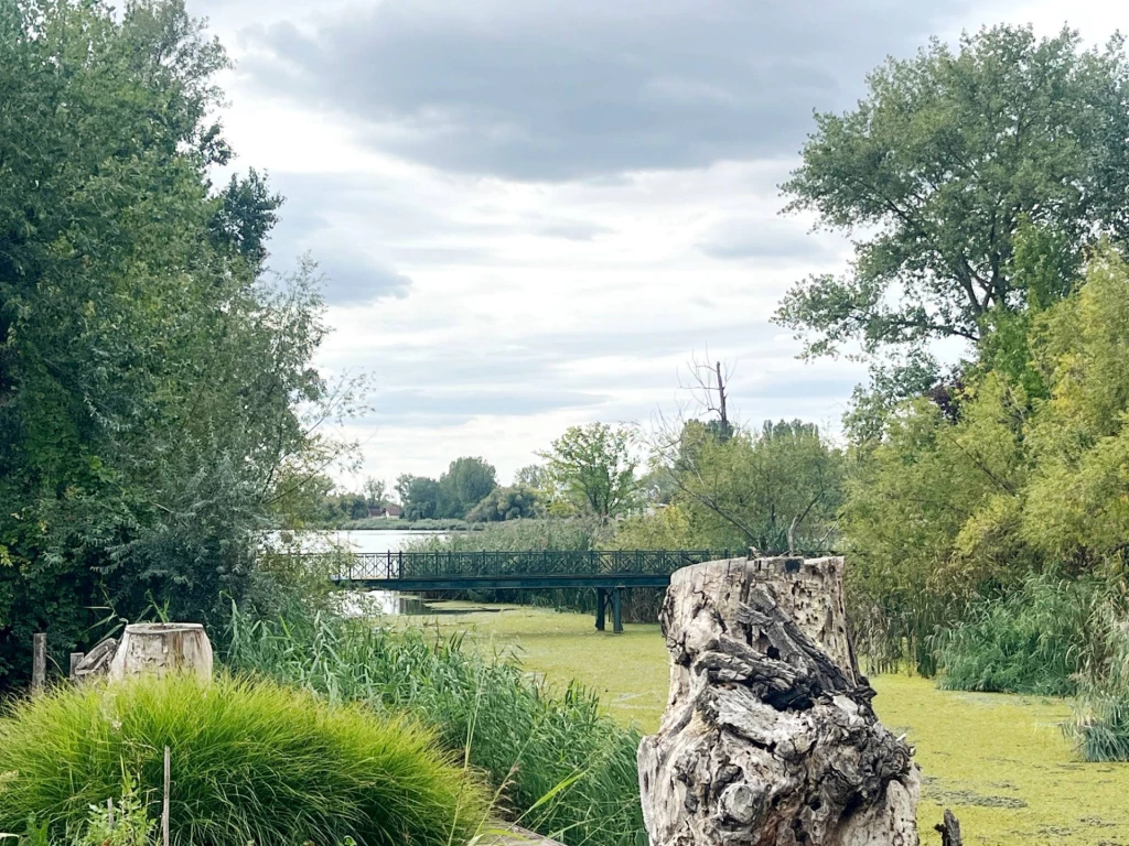 Áporkán Duna-parti részen hőszivattyús, saját stéges családi ház eladó!