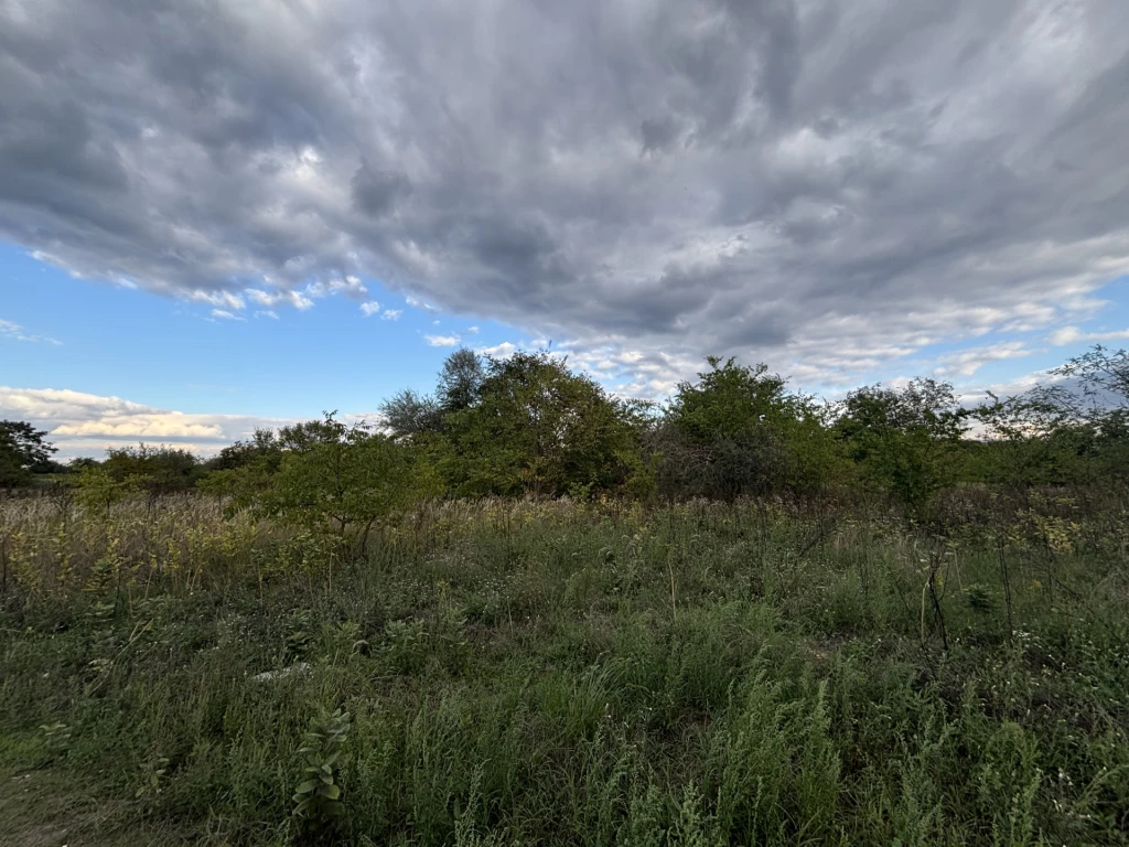 Alsónémedi lakóövezeti részéhez közeli szántó eladó!