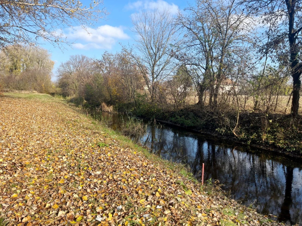 Dömsödön vízparthoz közeli építési telek eladó!