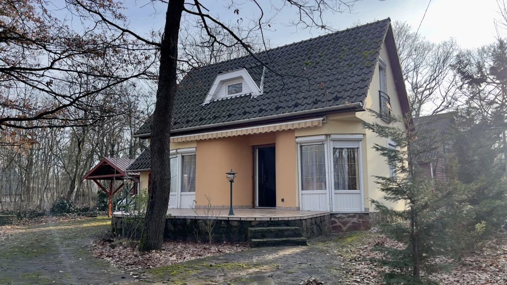 Ott az ég mindig kékre van színezve!