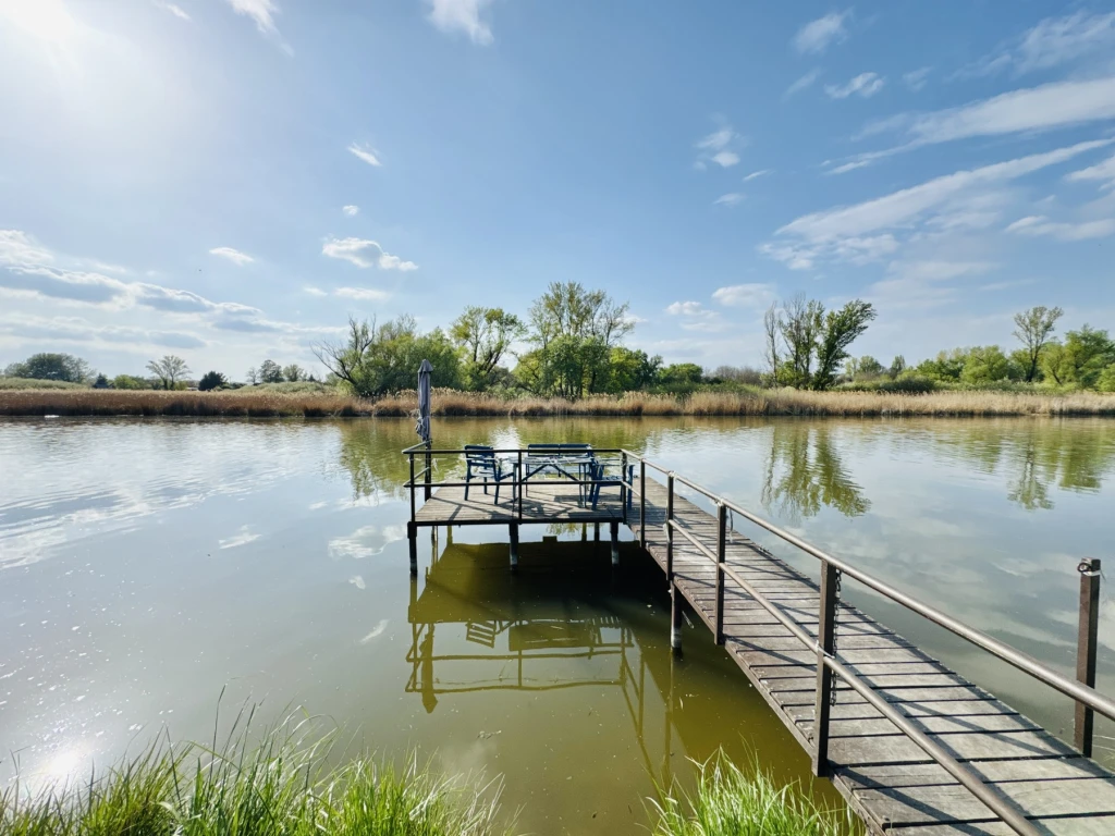 Dunaharasztin közvetlen a Duna-parton kétszintes családi ház saját stéggel eladó!