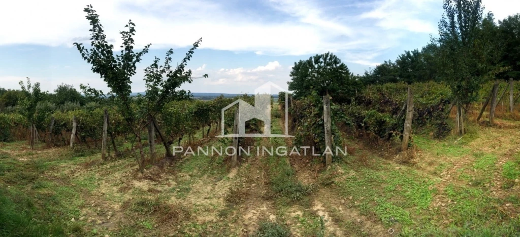 For sale other plot, Vanyola