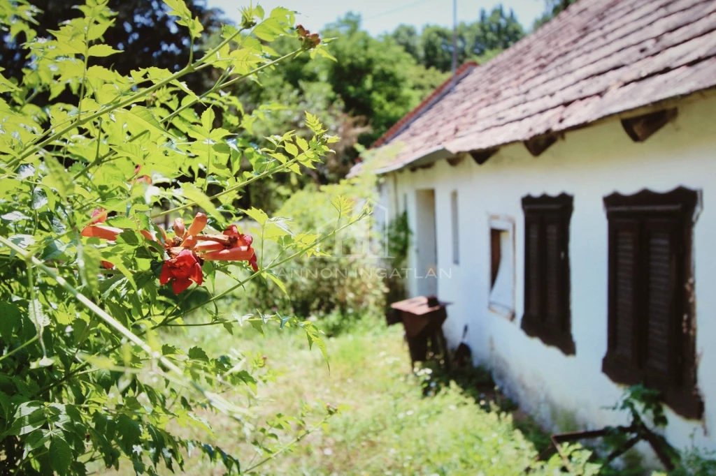Eladó Ház, Pula Fő 22.500.000 Ft