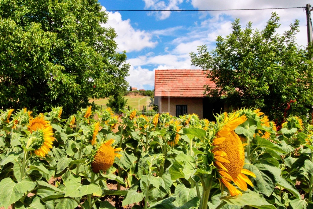 Eladó Nyaraló, Kápolnásnyék Csekés 35.000.000 Ft