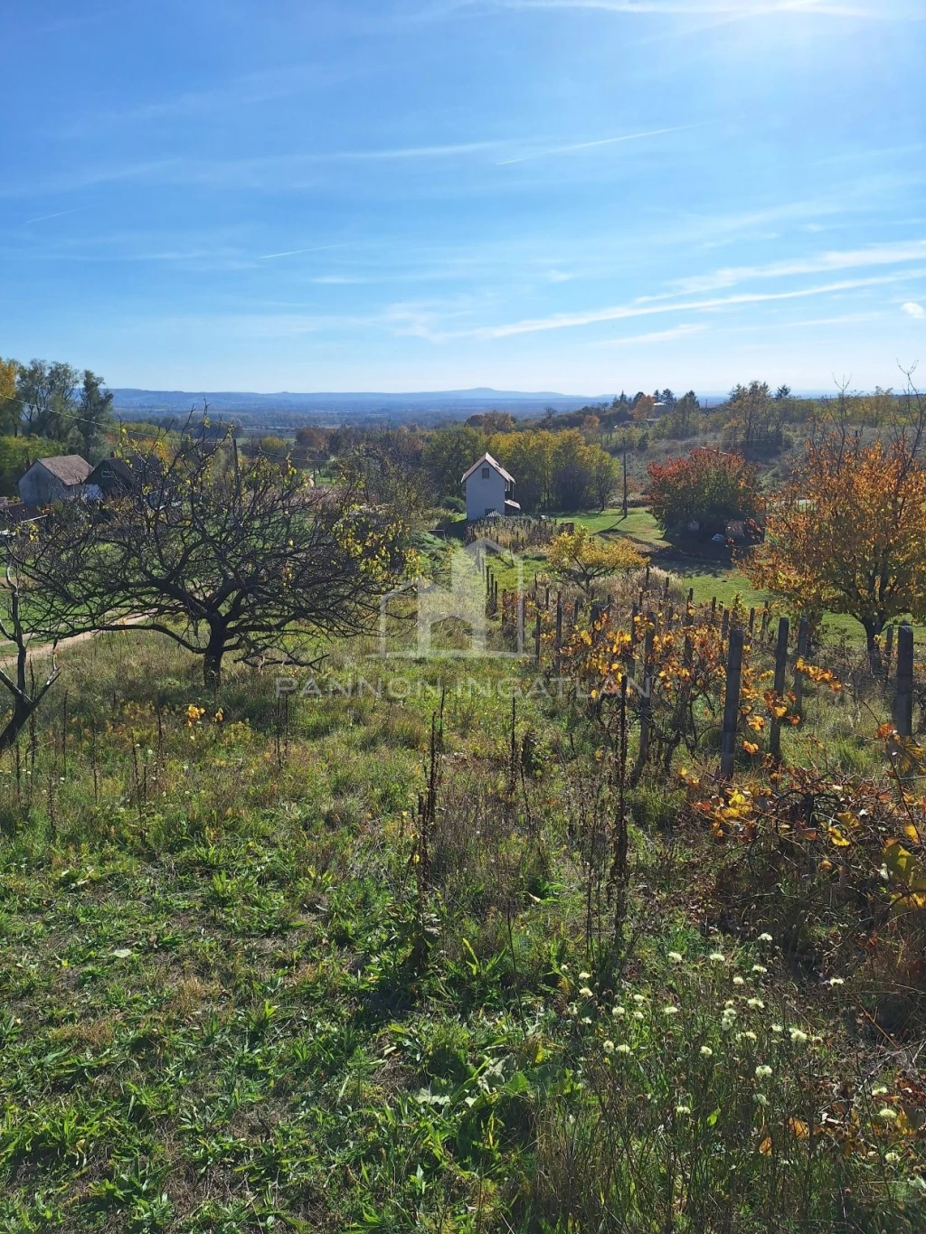 Eladó Telek, Magyarpolány 9.700.000 Ft