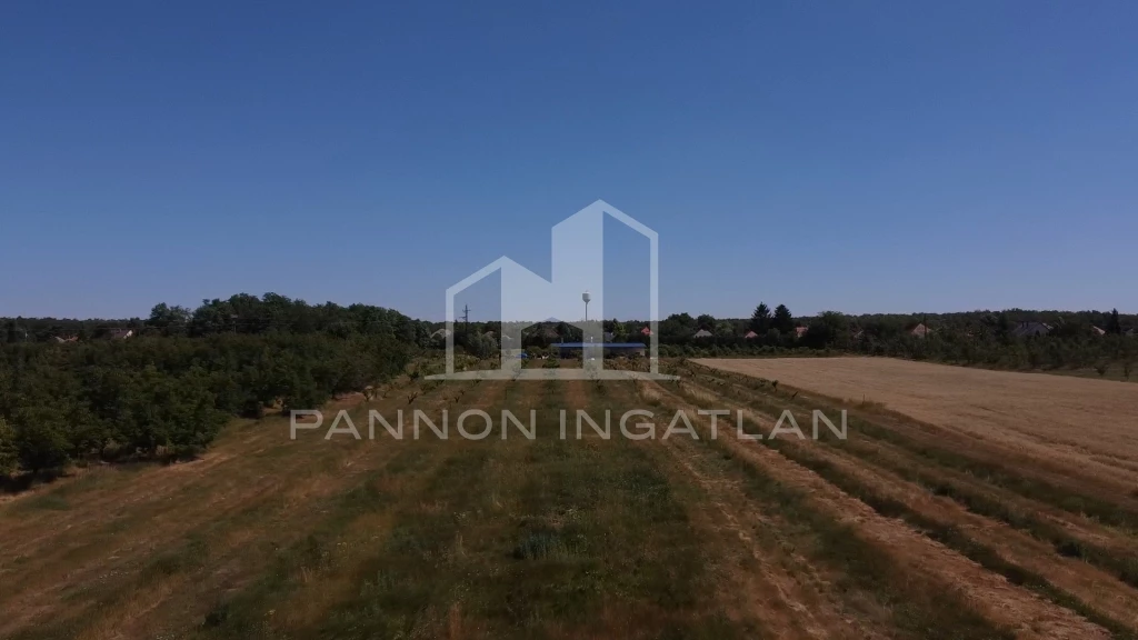 Eladó Mezőgazdasági, Csikvánd 25.000.000 Ft