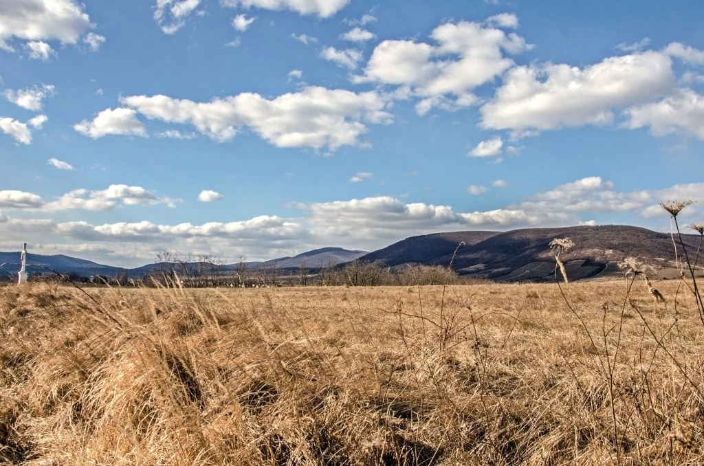 Eladó Mezőgazdasági, Erdőbénye 36.000.000 Ft