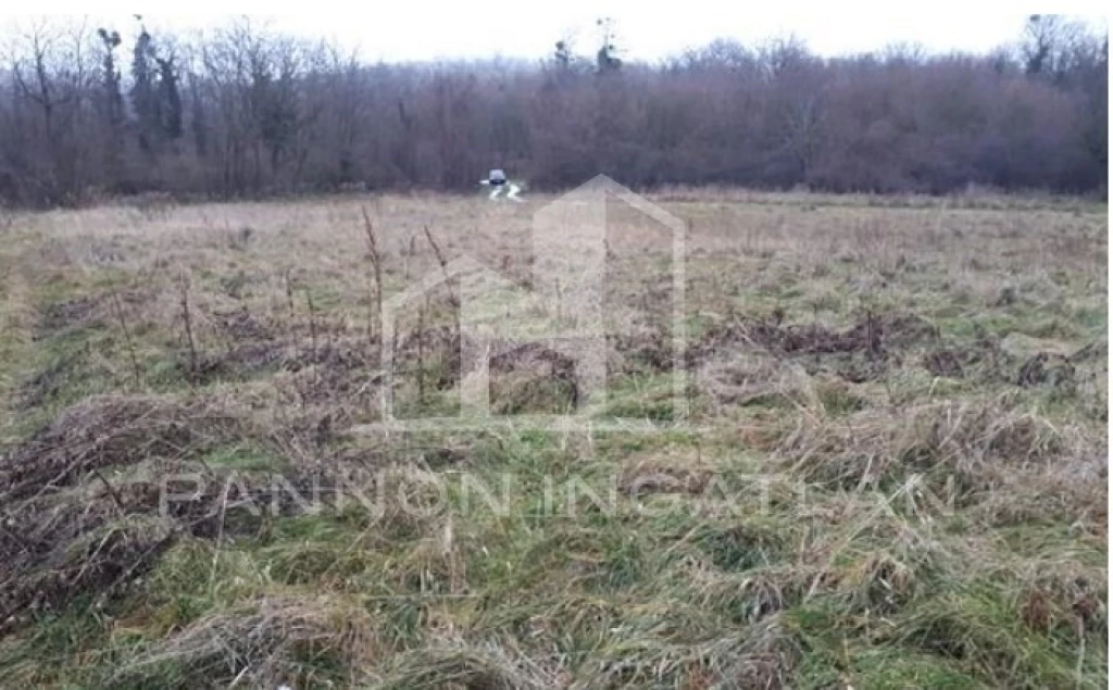 Eladó Mezőgazdasági, Ajka 14.900.000 Ft