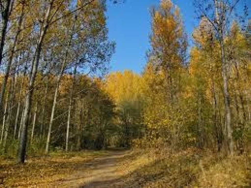 For sale other agricultural, Erk