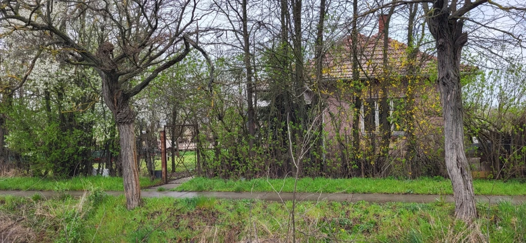 c3-1-name c2-1-name, Visznek, Táncsics Mihály