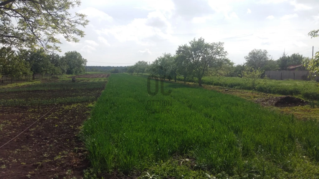 c3-1-name c2-60-name, Hajdúszoboszló, Kertváros