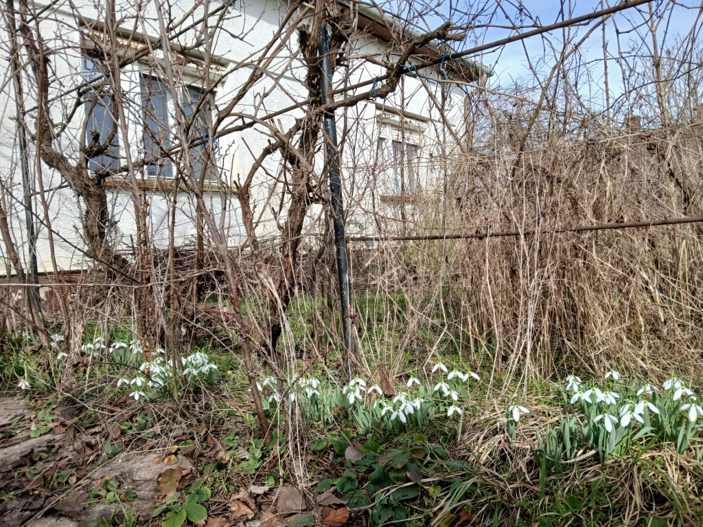 Eladó családi ház, Nádudvar, Nádudvar