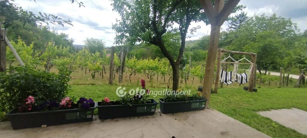 c3-1-name c2-84-name, Szekszárd, Lisztes utca