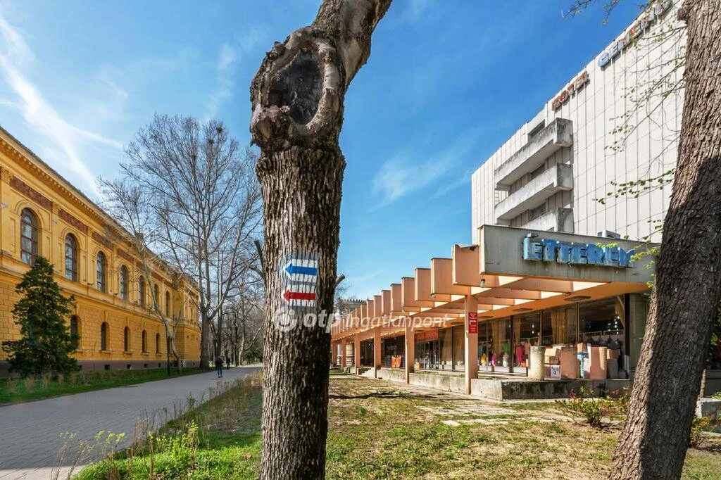 c3-1-name c2-70-name, Szekszárd, Csokonai utca