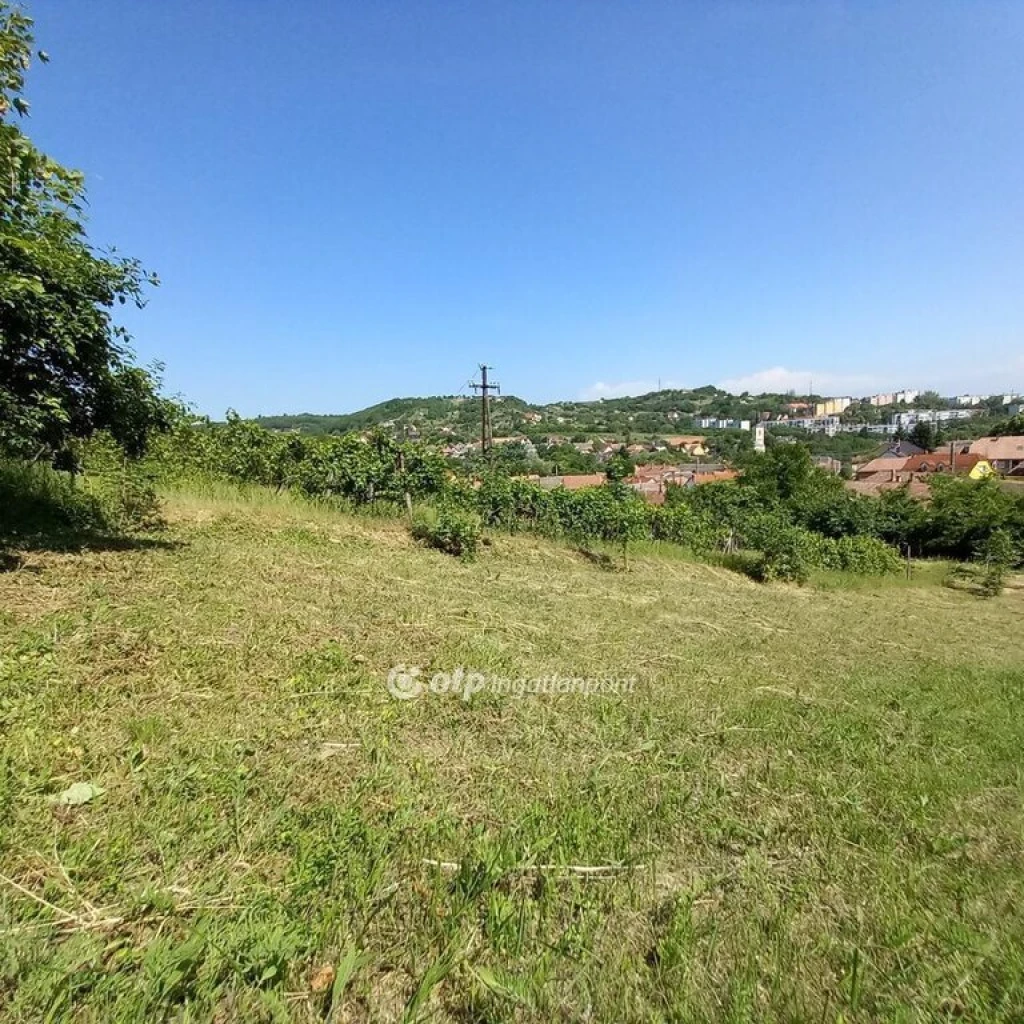 c3-1-name c2-50-name, Szekszárd