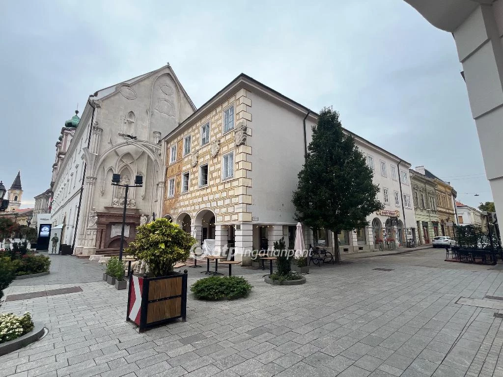 Eladó üzlet, Székesfehérvár, Belváros