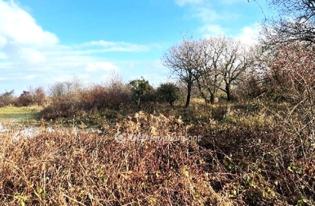 Eladó építési telek, Tés, közpon thoz közeli