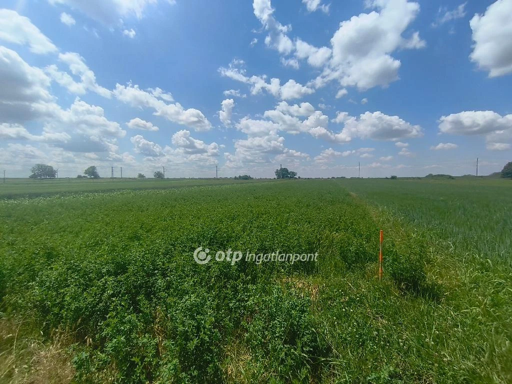 c3-1-name c2-50-name, Pusztaszabolcs, csendes