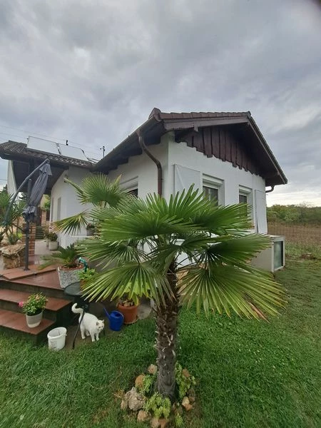 For sale house, Tárnok