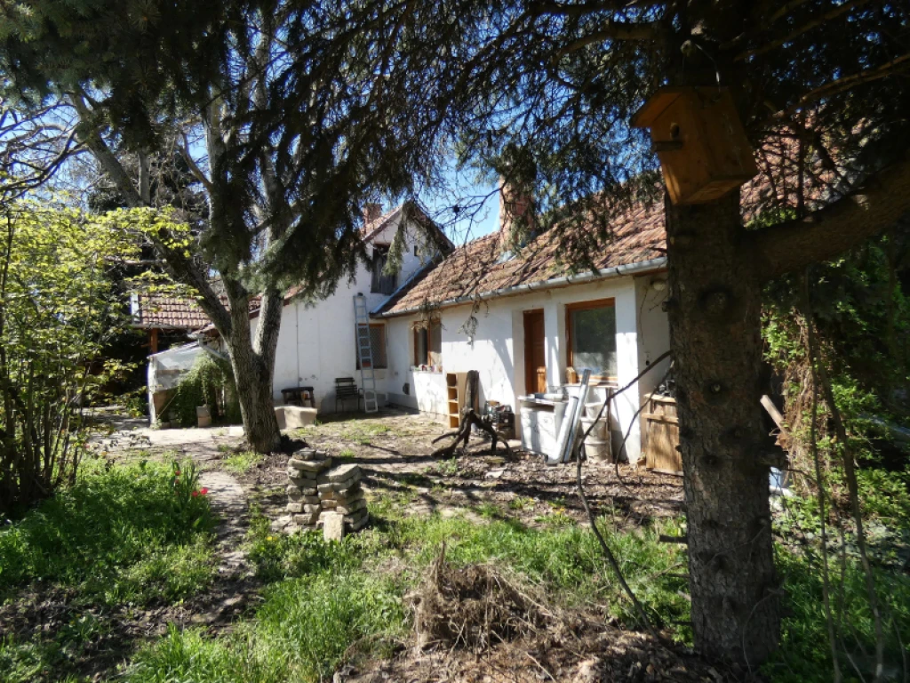 Eladó családi ház, Újszentiván