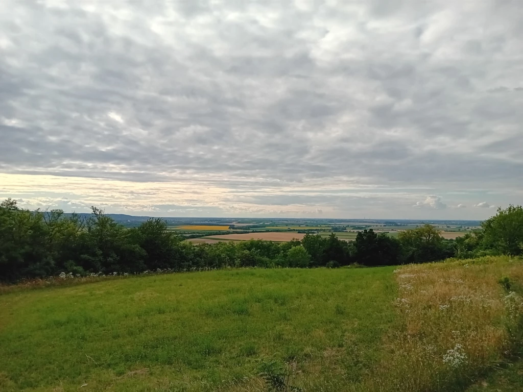 Eladó Telek, Győrság 12.500.000 Ft