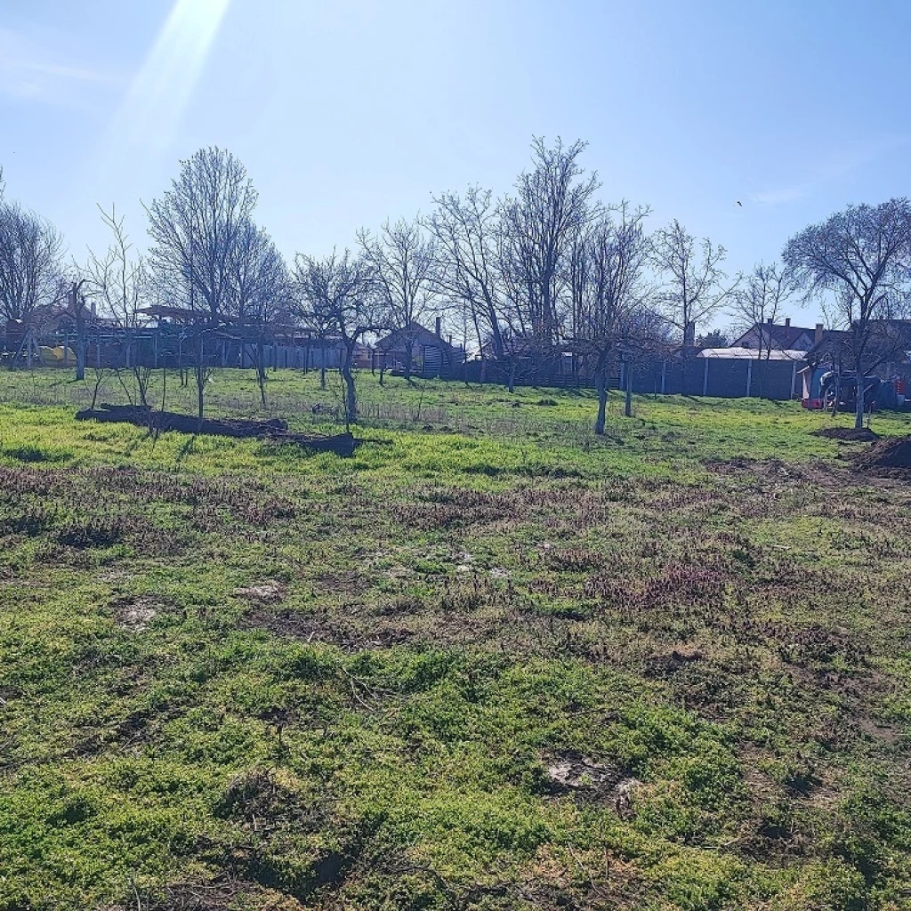Eladó 650 m2 építési telek, Derecske
