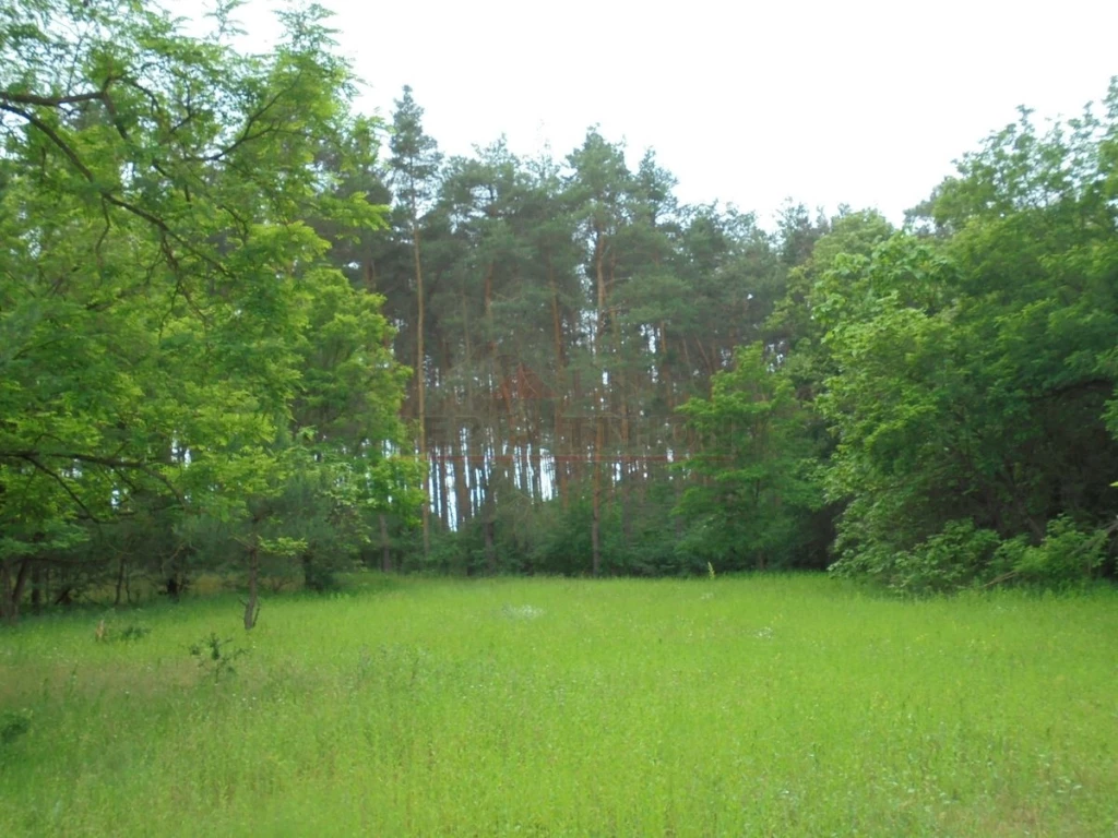 Debrecen Erdőspusztán egy 23,5 ha-os, termálvíz kitermelési lehetőséggel rendelkező összefüggő földterület, wellness szálloda és biofarm megvalósítására vonatkozó tervdokumentációkkal együtt eladó!