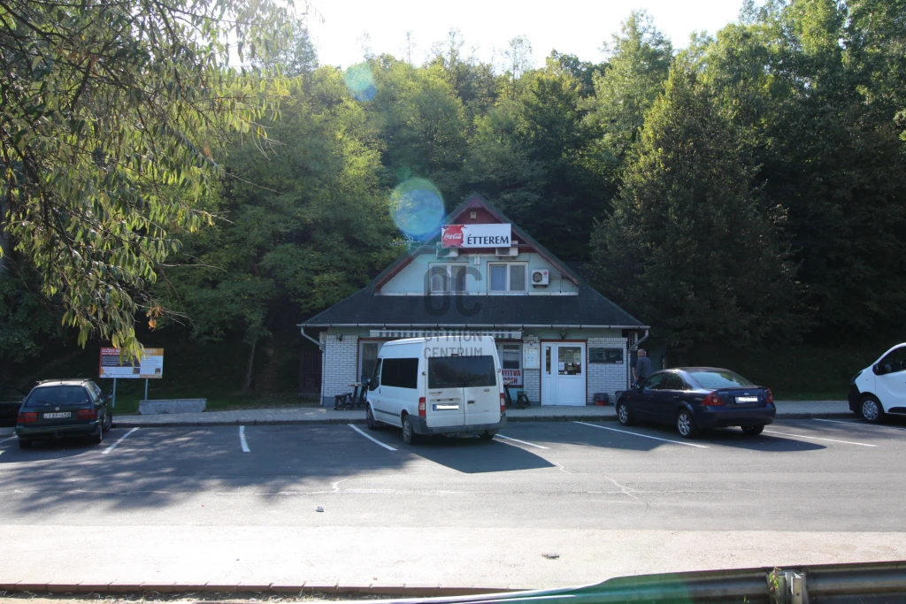 Eladó vendéglő, étterem, Gödöllő, Blaha