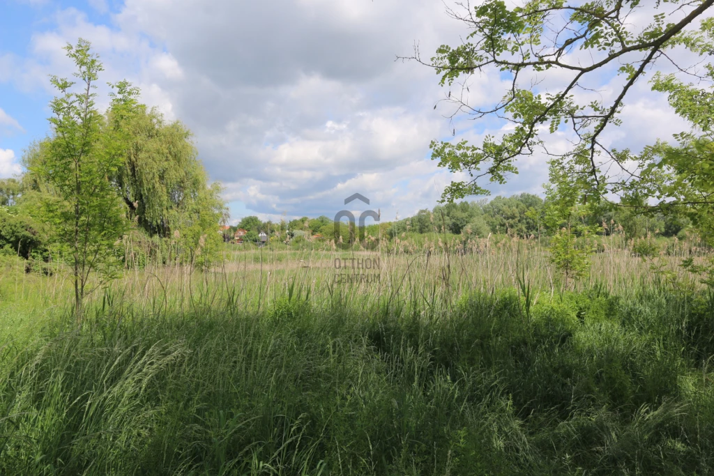 c3-1-name c2-60-name, Göd, Nevelek