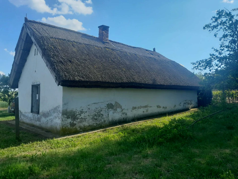 Eladó zártkert, Buzsák