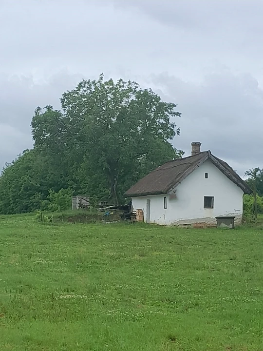 Eladó zártkert, Buzsák